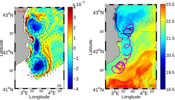 Figure 8. (a) Modeled relative vorticity [s −1 ] and current velocity field at 20 m depth on September 3