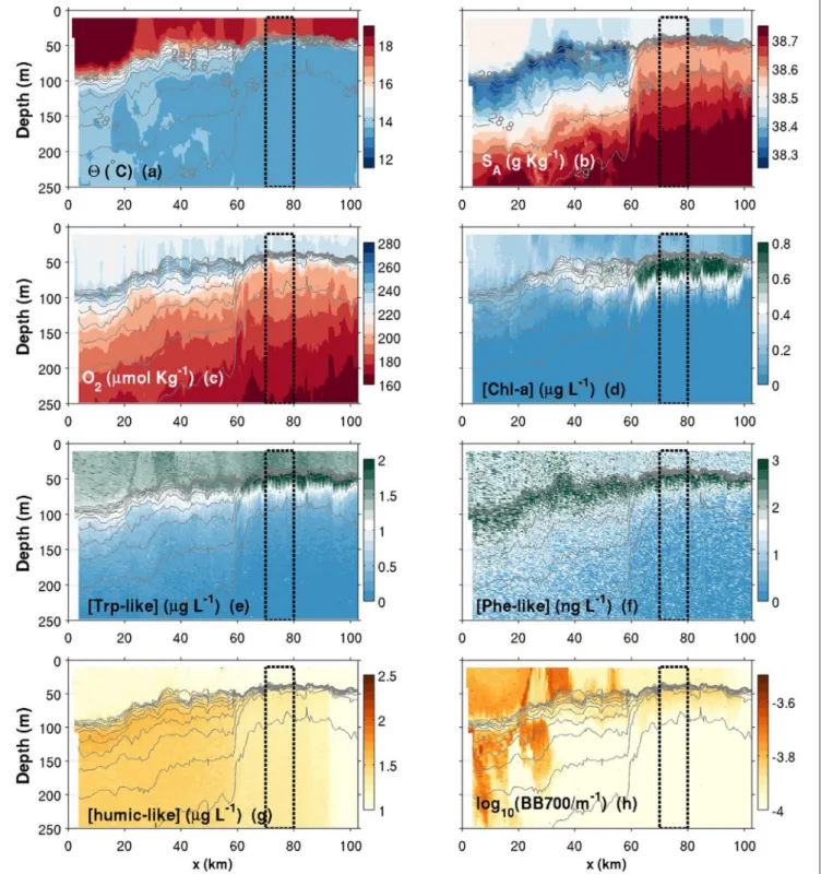 FIGURE 6 | Contours plots of various variables measured by the glider in function of depth and along-transect distance (x) for the fall transect.