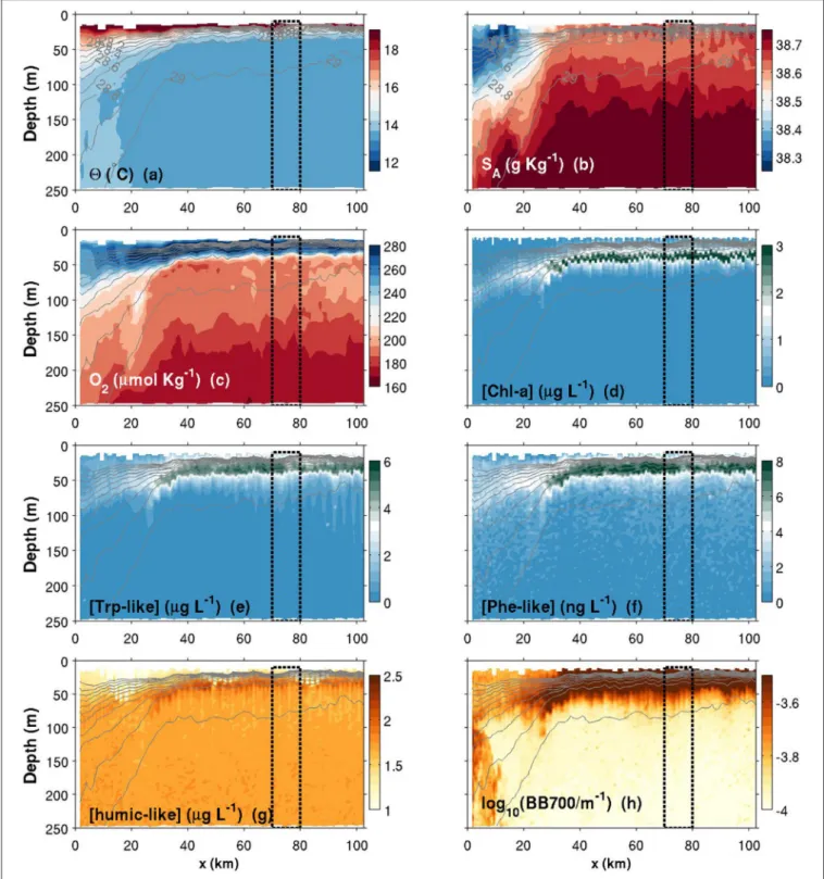 FIGURE 8 | Same as Figure 6, but for a summer transect. Note that the colorbars of Chl-a, Trp and Phe have been changed compared to Figure 6.