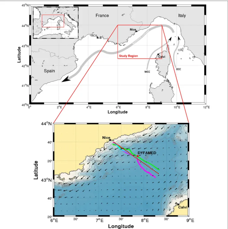 FIGURE 1 | Map of the study area. Upper Northwestern Mediterranean Sea and a sketch of the Northern Current and the Western and Eastern Corsica Currents (WCC and ECC, respectively)