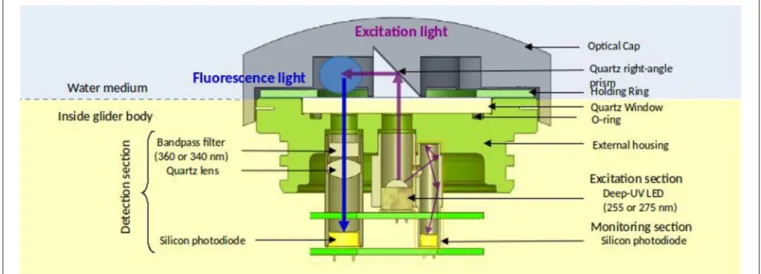 FIGURE 2 | Technical sketch of the MiniFluo with the working principle of one of the two channels