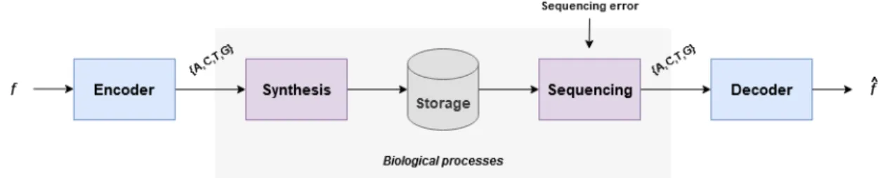 Fig. 1. General workflow for DNA data storage.