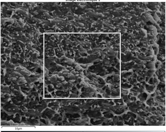 Figure S2: SEM coupled EDX analysis of two randomly selected areas for composite 1a