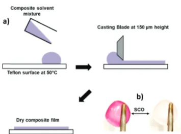 Fig. 1 and Table 1 summarize the properties of the five SCO complexes used in this work