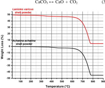 Figure 3.    TG curves snail shell powders 