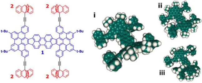 Figure  1: The  chemical  skeleton  (left) and three  possible optimized  conformations  of the  free  PAH-4W  molecule  using  the  MOPAC  package  [27]