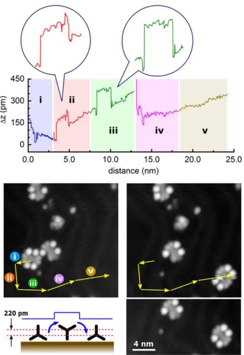 Figure  6:  Another  example  of  a  PAH-4W  mechanical  molecule  manipulation.  Here  the  manipulations  were  performed  five  times  in  a  row  without  any  STM  imaging  during  this  manipulation  sequence