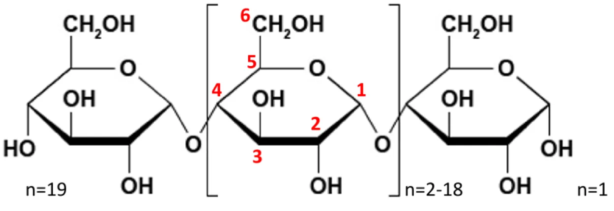 Figure 1: Carbon atom numbering of glucose residues. 