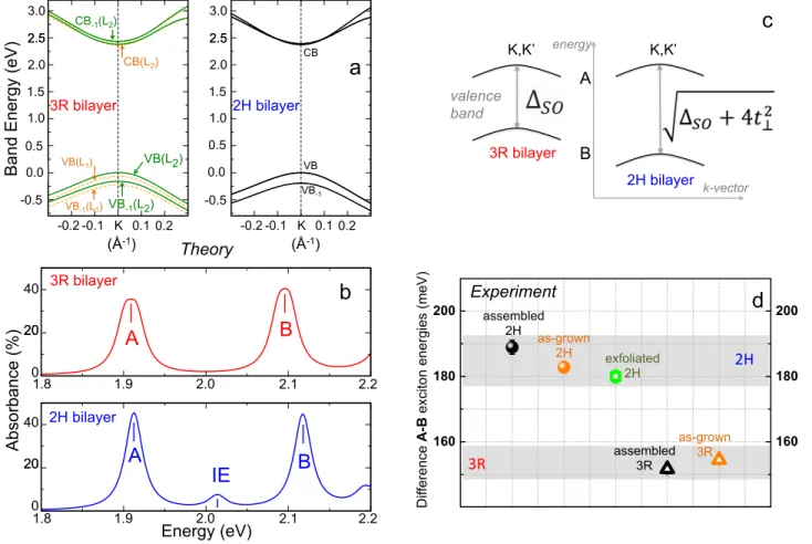 FIG. 3: Interlayer coupling in theory and experiment. (a) Valence and conduction bands around K-point calculated with DFT-GW for 2H and 3R stacking, with the energy value of the highest VB set to 0