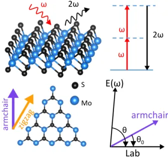 FIG. 4: Schematic representation of the crystallographic ori- ori-entation of MoS 2 monolayer and the polarization of the SHG.