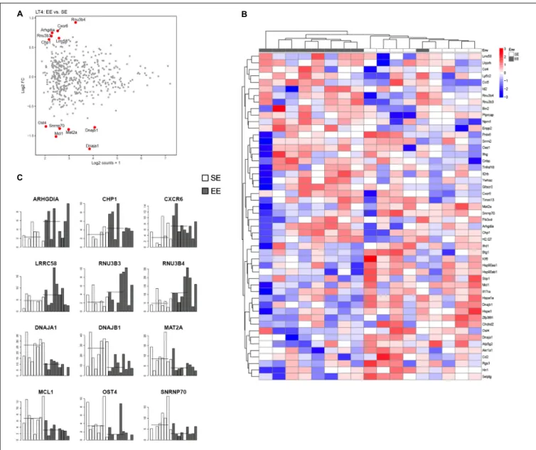 FIGURE 4 | Transcriptomic analysis of CD4 + T cells from choroid plexus of mice raised in EE and SE