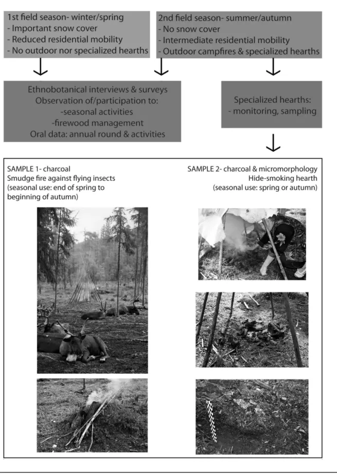 Figure 3. Summary of the ethnoanthracological work with Evenki from Ulgen, Amur Region