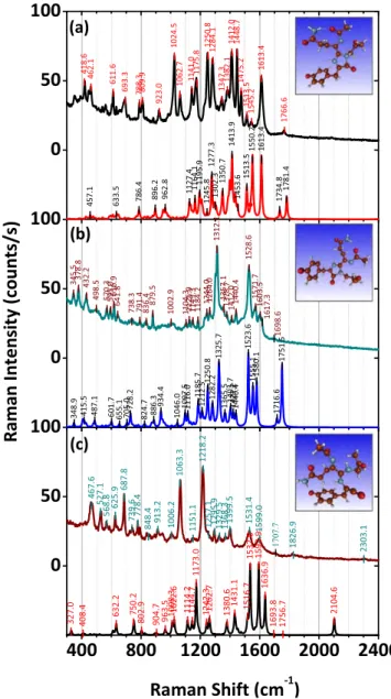 Figure 6. Experimentally recorded SERS spectra (upper spectra) of DsRed dehydrated protein layer deposited from solution with DsRed concentration of 0.05 g l −1 ( 400 nM ) and DFT-simulated Raman spectra ( lower spectra ) of the DsRed chromophore in three 