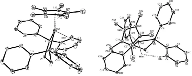 Figure 2.   Molecular  structure  of  Cp*Os(dppe)H  (1)  (30%  probability  level).  Key  bond  lengths  (Å)  and  angles  (deg):  Os-H  1.56;  Os-CNT  1.90(3);  Os-P(1)  2.2357(9);  Os-P(2)  2.2302(10);  CNT-Os-H  119(3);  CNT-Os-P(1)  134.0(4);  CNT-Os-P