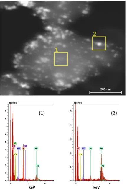Figure S4: Dark-field picture for an Ag@SPA-2 crystal showing area where EDX analysis was  performed: (1) zone with lower NP density, (2) centered on a larger NP