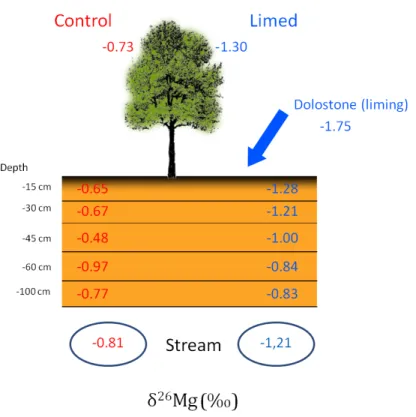 Figure    1:    Mg    isotopic    composition    observed    in    soil,    water    and    trees    (beech)    of    the    Cornimont    catchment    (Vosges)   seven   years   after   liming