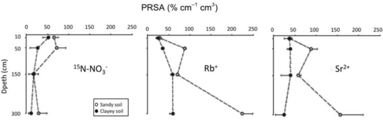 Figure   5:      Potential   root   specific   activity   (PRSA,   indicator   of   the   amount   of   tracer   absorbed   at   each   soil   depth,    expressed   per   unit   of   root   length)   70   days   after   application   of   tracers   on   a 
