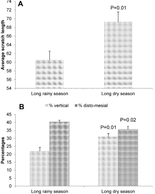Fig 2. Effects of the season of sampling on three buccal microwear variables: (A) the average scratch length; and (B) the percentages of vertical scratches and disto-mesial scratches