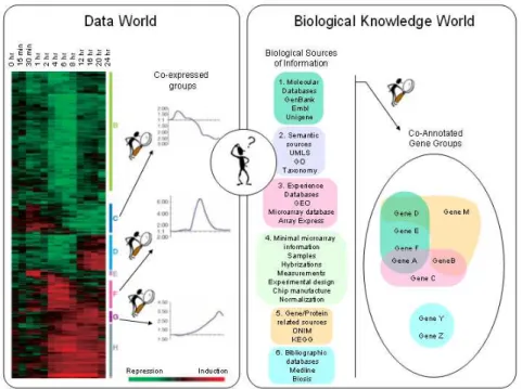 Figure 1: Interpretation of microarray results via integration of gene expression profiles with corresponding sources of biological information
