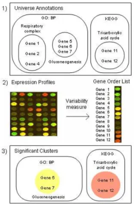 Figure 2: Gene expression profiles integration into previously co-annotated groups