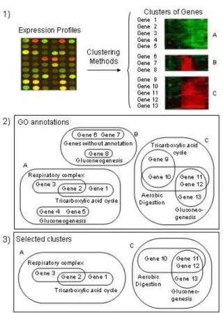 Figure 3: Interpretation of microarray results via integration of gene expression profiles with corresponding sources of biological information