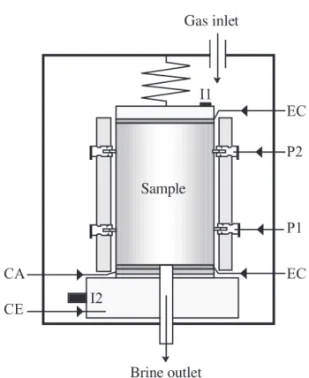 Figure 5  Gas inlet I2 I1 P1P2Sample Brine outletCACE ECEC