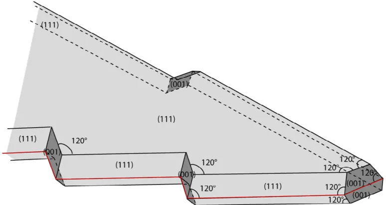 Figure S10 : Schematic view of the arms of 5-fold star displaying the corresponding faces and angles