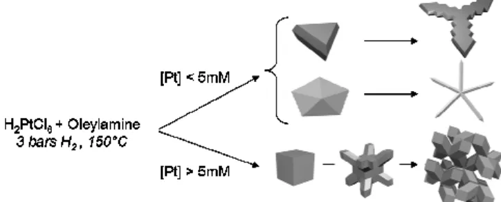 Figure  1.   TEM  images  of  Pt  nanocrystals  prepared  at  different  concentrations of platinum (a-b) dendritic cubes obtained for [Pt] =  10mM, (c-d) Pt stars obtained at [Pt] = 2 mM