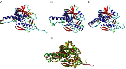 Figure 3. Cont.