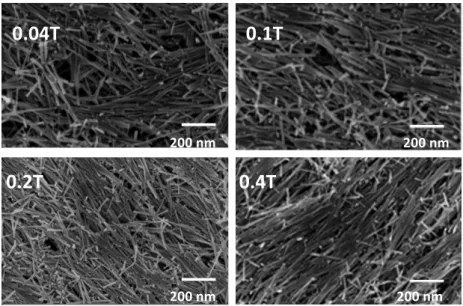 Figure   3.   SEM   picture   of   cobalt   nanowires   dried   on   a   Si   wafer   under   various   magnetic   fields