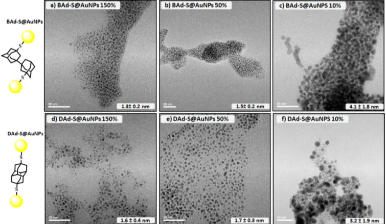 Figure 3. BAd-S@AuNPs 150%: (a) TEM image (scale bar 20 nm), (b) SAXS analysis, and (c) correlated view of the network local dimension using NPs average size (TEM) and the optimized structure of ditopic ligand BAd-SH.