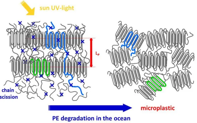 Figure 6. Summary of the observed evolution of semi-crystalline PE submitted to environmental  conditions