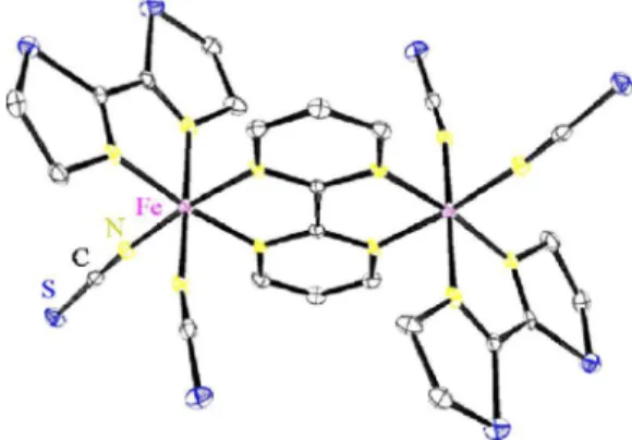 FIG. 1. 共Color online兲 Structure of the binuclear molecule 兵关Fe共bt兲共NCS兲 2 兴 2 bpym其 located on inversion symmetry site.