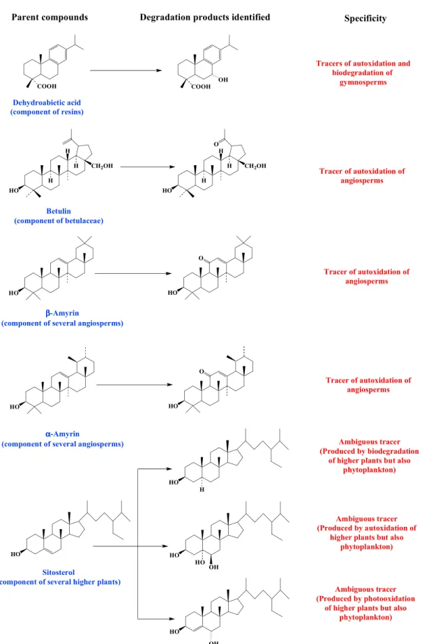 Figure 2. Lipid tracers used throughout this work, along with their oxidation products.