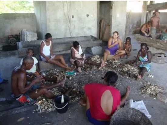 Figura 03: Comunidade da Resex do Quilombo do Frechal reunida no preparo da mandioca, Mirinzal – MA.
