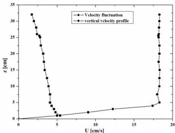 Fig. 3. Profiles of current velocity: mean profile and mean root ve- ve-locity fluctuations at 3 m from the wave maker.