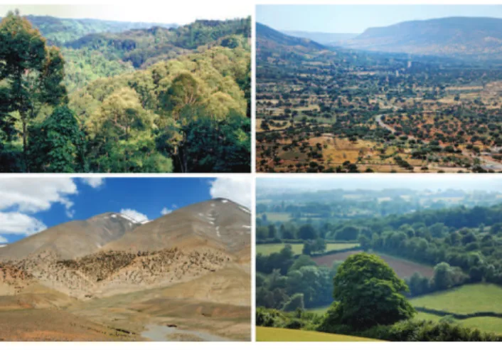 Fig. 7. Landscape domestication patterns in rural forest systems: from continuous forest cover (above) in the damar agroforest in Indonesia (left) and in the argan forest in southwestern Morocco (right) to forest fragments (forest