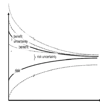 Figure 1: Risks, benefits – time relationship   