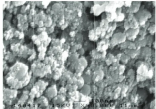 Figure 1: Scanning electron microscopy of xerogels.