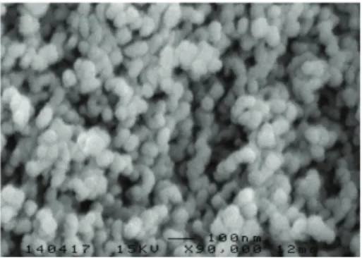 Figure 3: Scanning electron microscopy of typical composite aero- aero-gel.