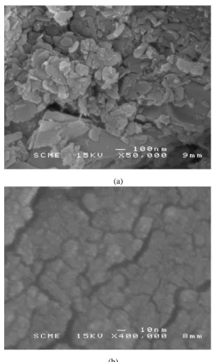 Figure  3 Scanning electron Microscopy of volcanic soils: 