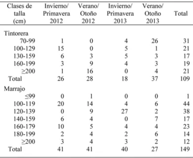 Tabla 2. Número de tintoreras y marrajos muestreados por clases de talla (cm), años (2012 y 2013) y estación (invierno/primavera- (invierno/primavera-verano/otoño) / Number of blue sharks and shortfin makos sampled per size classes (cm), years (2012 and 20