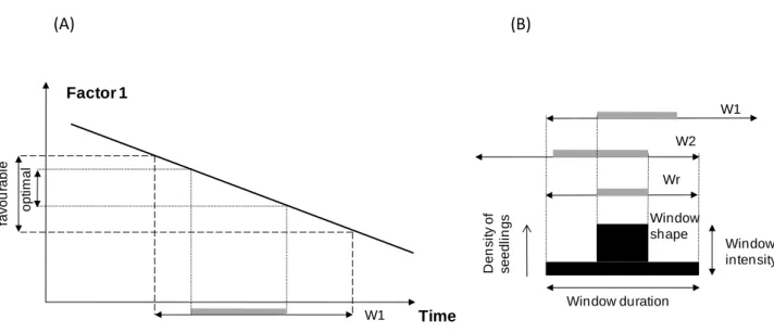 Fig.  5.  Formation  of  a  window  of  emergence  controlled  by  two  factors.  (A)  For  a  given  factor,  emergence  is  possible  during  a  specific  time  interval  (denoted  &#34;favourable&#34;)  and  peaks  within  this  interval (denoted &#34;o