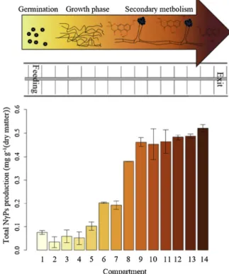 Fig. 4. Total N γ Ps production along the PFB working at a steady state at 25 °C and 60% humidity.
