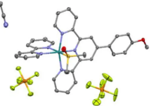 Figure 6. Asymmetric unit for [RuT1B0(DMSO (S) )](PF 6 ) 2 · CH 3 CN. Displacement ellipsoids are drawn at the 50% probability level
