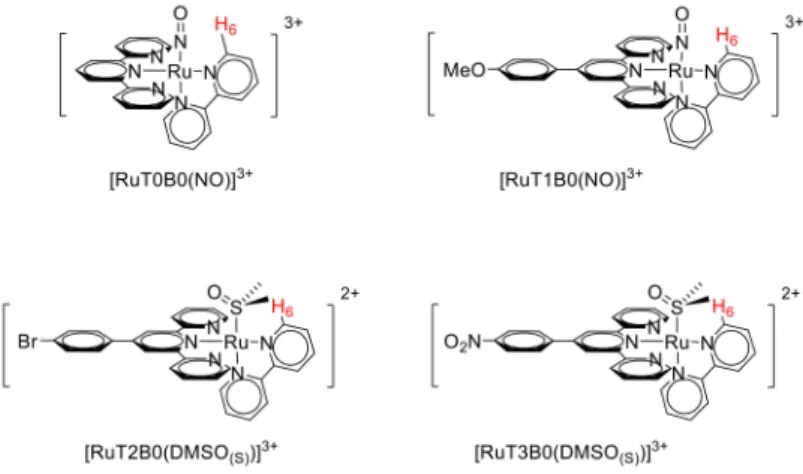 Figure 1. Ruthenium complexes under investigation. Proton H6 used for the NMR characterization is indicated in red color on the bipyridine ligand.