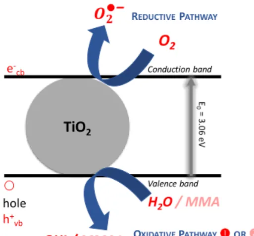 Figure 3. Photocatalytic activity of TiO 2