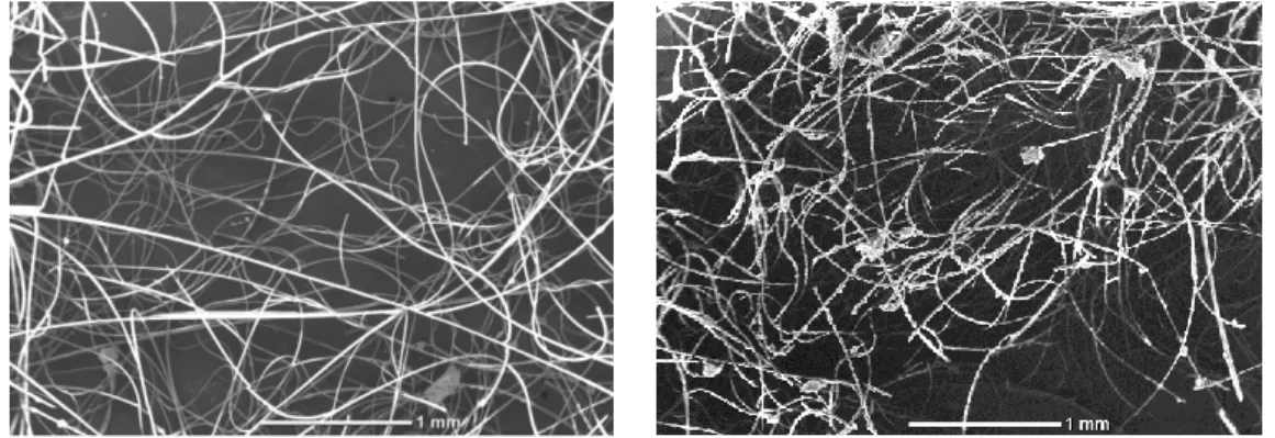 Figure  4.  SEM  pictures  of  the  f-TiO 2   before  (left)  and  after  (right)  MMA  miniemulsion  photopolymerization 