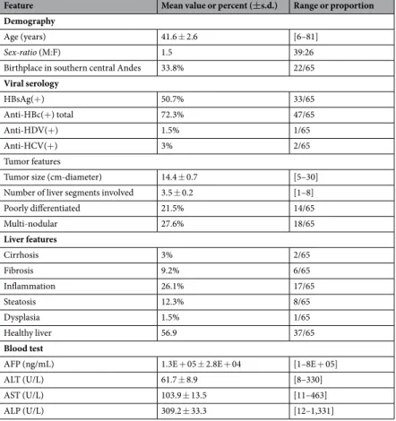 Table 1.  Baseline demographical and clinical features of the Peruvian HCC patients. Footnote: Percentages are  expressed as a ratio of the 65 patients investigated for the considered parameter