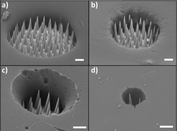 Fig. 2. SEM images of the fabricated nanotip microelectrodes with different radii: a) 20μm, b) 12μm, c) 7μm and d) 3.5 μm
